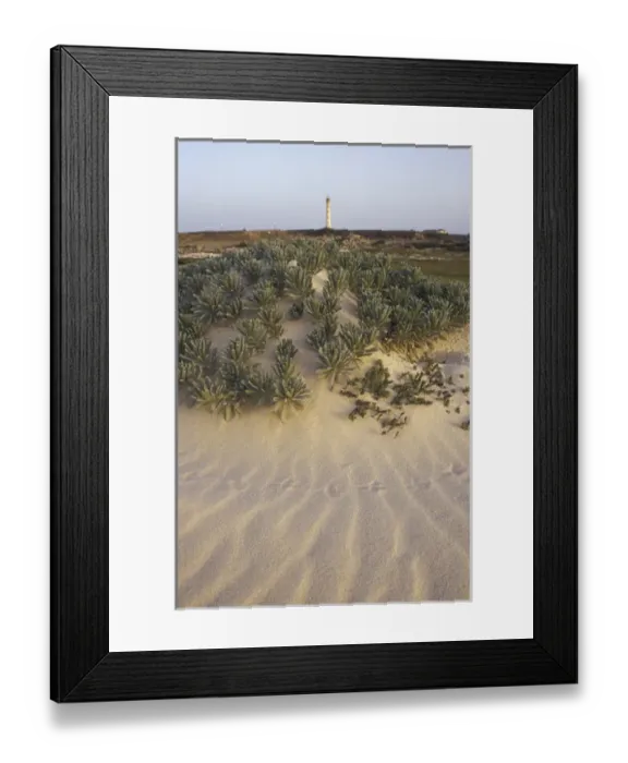 Framed Print : Caribbean, Dutch Antilles, Aruba California Dunes and lighhouse Framed Print : Caribbean, Dutch Antilles, Aruba California Dunes and lighhouse