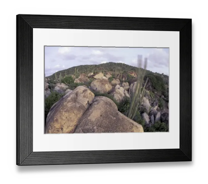 Framed Print : Caribbean, Dutch Antilles, Aruba View of Arikok NP