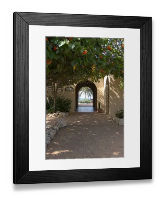 Framed Print : 01. Aruba, archway to pool area at Tierra del Sol Golf Club and Spa Framed Print : 01. Aruba, archway to pool area at Tierra del Sol Golf Club and Spa