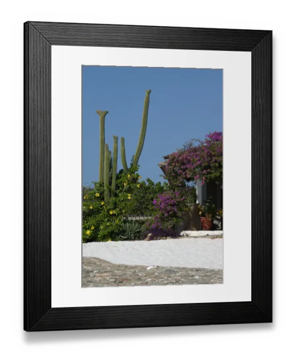 Framed Print : 01. Aruba, private home (Editorial Usage Only) Framed Print : 01. Aruba, private home (Editorial Usage Only)