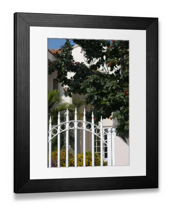 Framed Print : Aruba, private home Framed Print : Aruba, private home