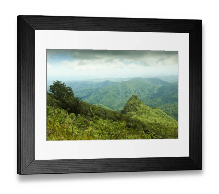 Framed Print : Viewing Los Picachos peak from the El Yunque peak overlook, El Yunque NF, Puerto Rico Framed Print : Viewing Los Picachos peak from the El Yunque peak overlook, El Yunque NF, Puerto Rico