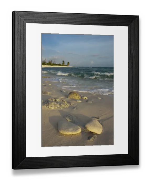 Framed Print : Waves crashing on crushed coral and coral fossils on the beaches of Punta Arena, Mona Island