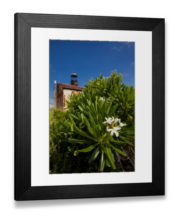 Framed Print : After years of neglect and hurricanes, The El Faro lighthouse among the cliffs of Mona Island Framed Print : After years of neglect and hurricanes, The El Faro lighthouse among the cliffs of Mona Island