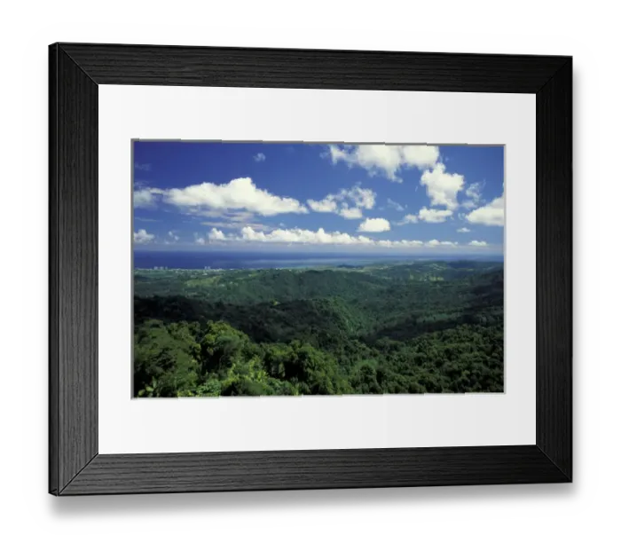 Framed Print : Caribbean, USA, Puerto Rico. Rainforest canopy