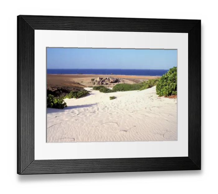 Framed Print : Caribbean, Aruba. Boca Grandi sand dunes