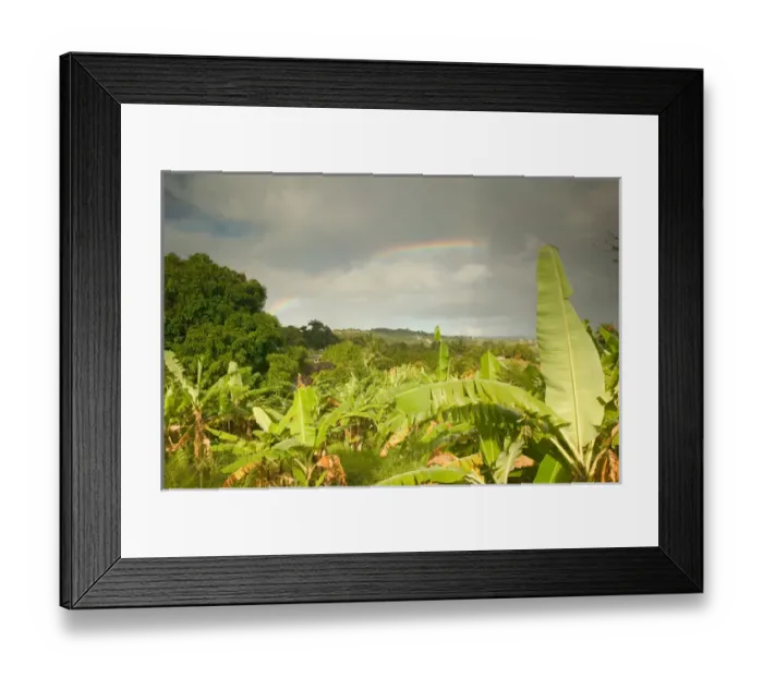 Framed Print : BARBADOS, St. Joseph Parish, Grey Clouds, Rainbow, Tropical Vegetation Framed Print : BARBADOS, St. Joseph Parish, Grey Clouds, Rainbow, Tropical Vegetation