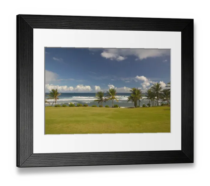 Framed Print : BARBADOS, North East Coast, Bathsheba, View of Soup Bowl Beach, Prime Barbados Surfing Framed Print : BARBADOS, North East Coast, Bathsheba, View of Soup Bowl Beach, Prime Barbados Surfing