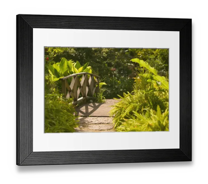 Framed Print : BARBADOS, North East Coast, Bathsheba, Andromeda Botanic Gardens, Tropical Vegetation Framed Print : BARBADOS, North East Coast, Bathsheba, Andromeda Botanic Gardens, Tropical Vegetation