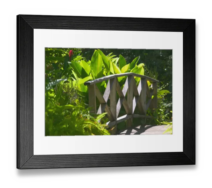 Framed Print : BARBADOS, North East Coast, Bathsheba, Andromeda Botanic Gardens, Tropical Vegetation Framed Print : BARBADOS, North East Coast, Bathsheba, Andromeda Botanic Gardens, Tropical Vegetation