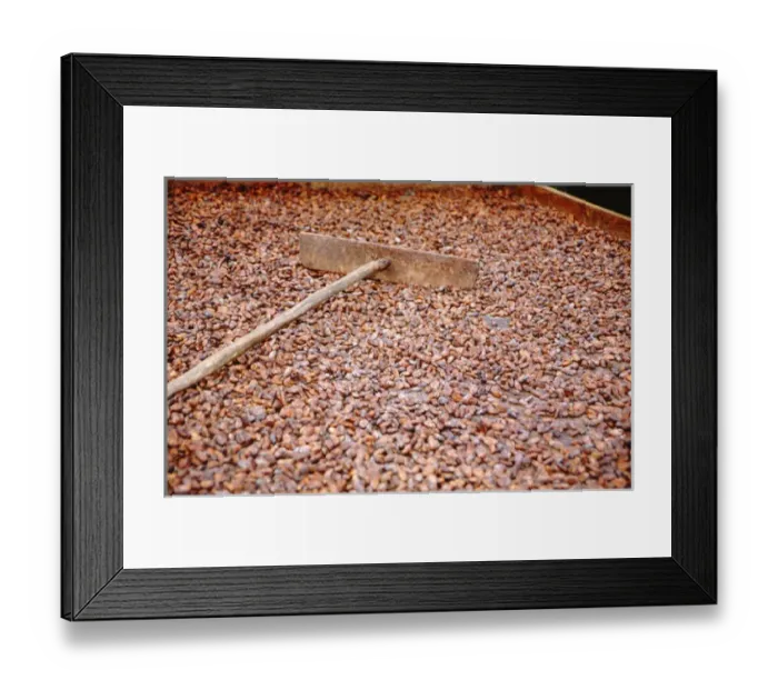 Framed Print : Caribbean, Lesser Antilles, West Indies, Saint Lucia, Soufriere. Fond Doux Estate Framed Print : Caribbean, Lesser Antilles, West Indies, Saint Lucia, Soufriere. Fond Doux Estate