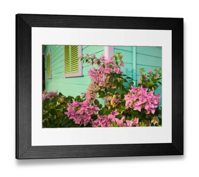 Framed Print : BARBADOS-West Coast-Holetown: The Chattel Village  /  Tourist Shops  /  Colorful Details