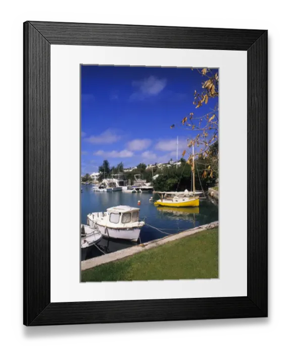 Framed Print : Bermuda Colorful Crow Lane Park with boats in water at harbour in Hamilton Bermuda Framed Print : Bermuda Colorful Crow Lane Park with boats in water at harbour in Hamilton Bermuda