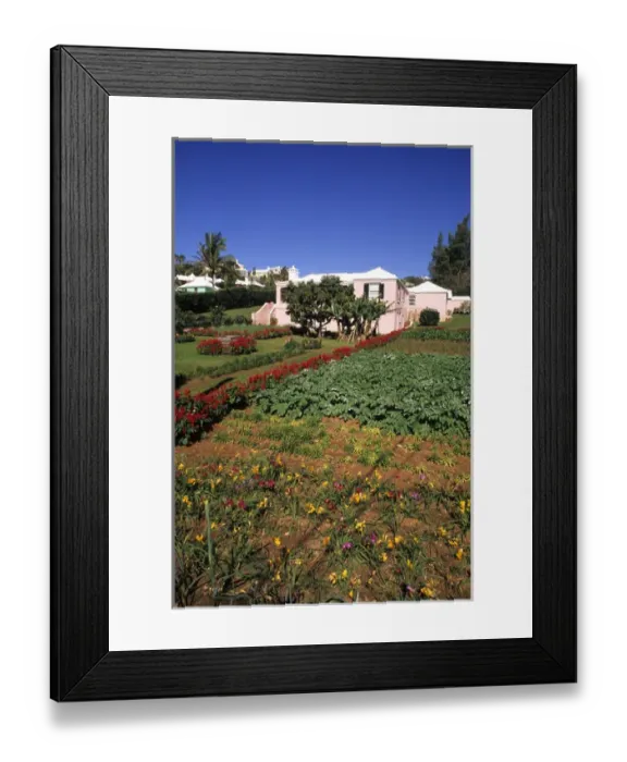 Framed Print : Graphic angle of the famous colorful pastel architecture and yard garden in Hamilton Framed Print : Graphic angle of the famous colorful pastel architecture and yard garden in Hamilton