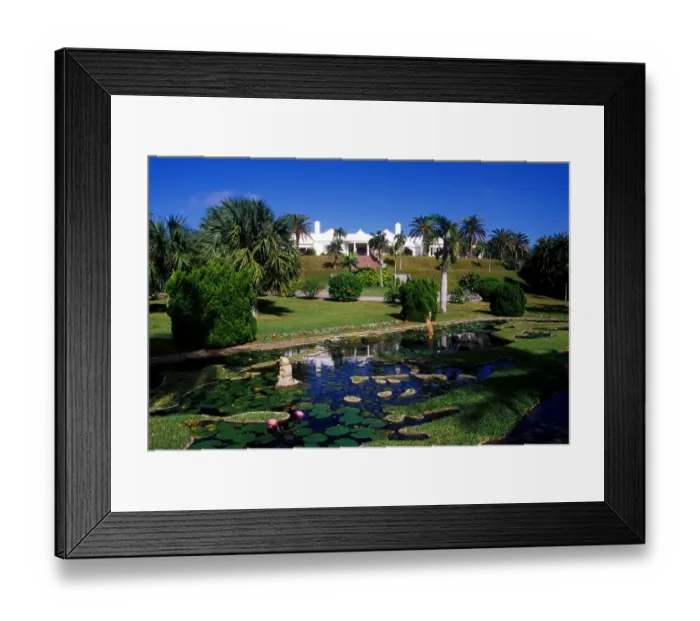 Framed Print : Caribbean, Bermuda, Devonshire Parish, Palm Grove Gardens. Reflecting pool with unique