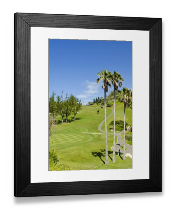 Framed Print : Bermuda. Fairmont Southampton Hotel and Golf Club