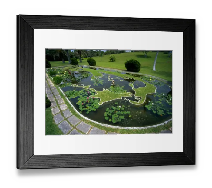 Framed Print : 01. Caribbean, Bermuda. Palm Grove Gardens