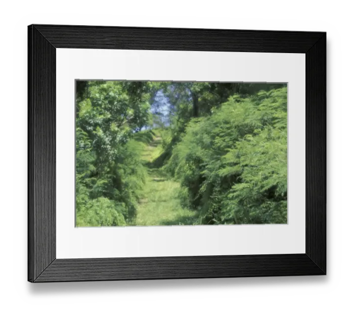 Framed Print : Caribbean, Bermuda View of path through trees Framed Print : Caribbean, Bermuda View of path through trees