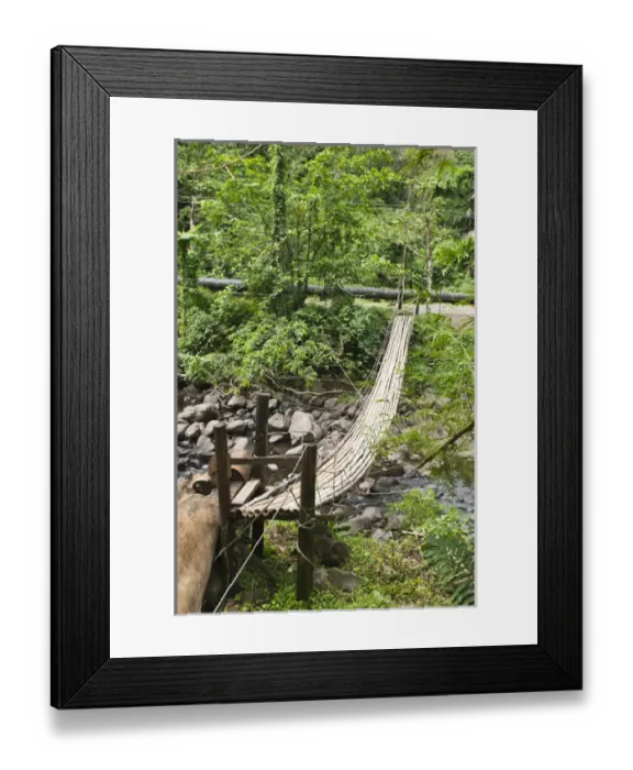 Framed Print : St. Vincent & The Grenadines. Bamboo bridge at Dark View Falls Framed Print : St. Vincent & The Grenadines. Bamboo bridge at Dark View Falls