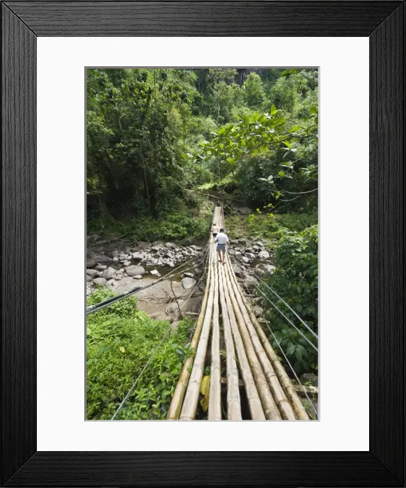 Framed Print : St. Vincent & The Grenadines. Bamboo bridge at Dark View Falls