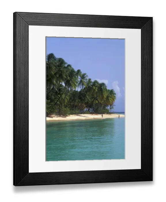Framed Print : Pigeon point palms and beautiful beach Tobago Framed Print : Pigeon point palms and beautiful beach Tobago