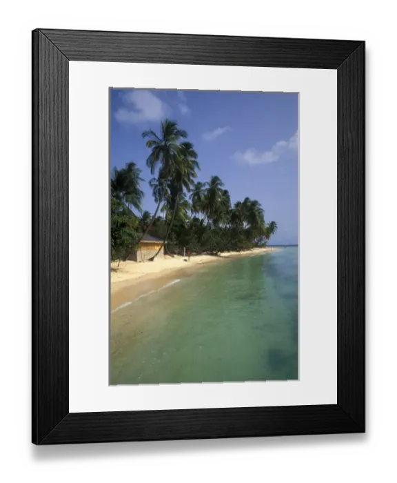 Framed Print : Pigeon point palms and beautiful beach Tobago