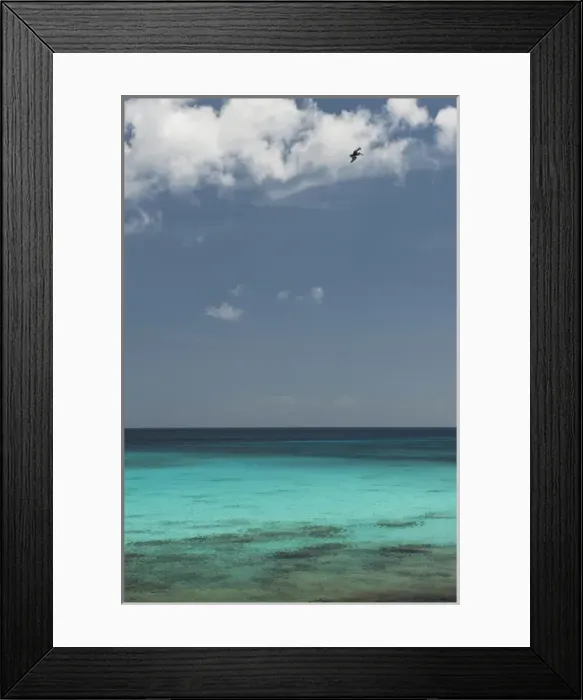 Framed Print : Beach Scene at Boca Slagbaai Slagbaai National Park BONAIRE, Netherlands Antilles Framed Print : Beach Scene at Boca Slagbaai Slagbaai National Park BONAIRE, Netherlands Antilles