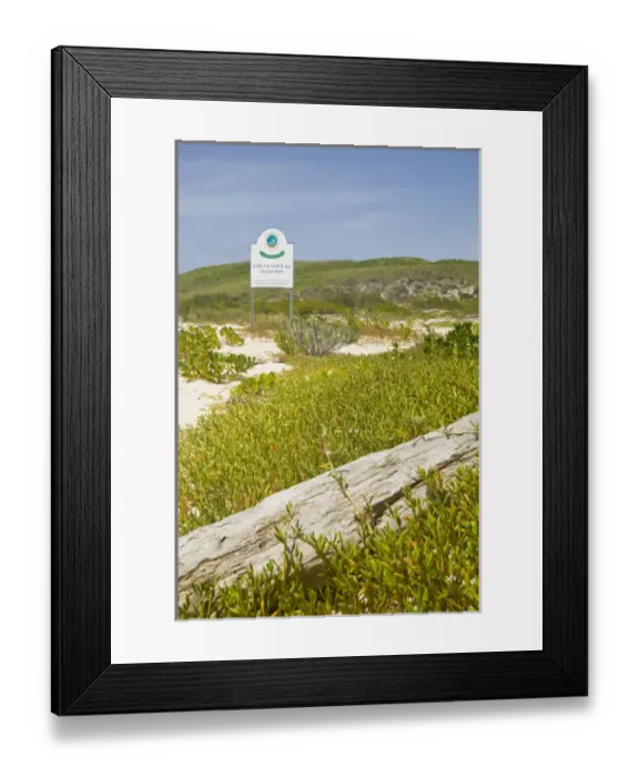 Framed Print : Gibbs Cay Land and Sea National Park, established in 1992, Gibbs Cay, Turks and Caicos Framed Print : Gibbs Cay Land and Sea National Park, established in 1992, Gibbs Cay, Turks and Caicos