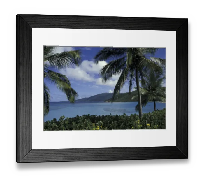 Framed Print : CARIBBEAN, British Virgin Islands, Virgin Gorda Little Dix Bay through palm trees Framed Print : CARIBBEAN, British Virgin Islands, Virgin Gorda Little Dix Bay through palm trees