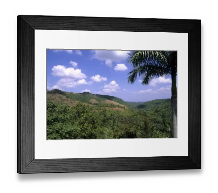 Framed Print : 01. Beautiful Panoramic of Trees and Lilly Scene Pinar Del Rio Cuba Framed Print : 01. Beautiful Panoramic of Trees and Lilly Scene Pinar Del Rio Cuba