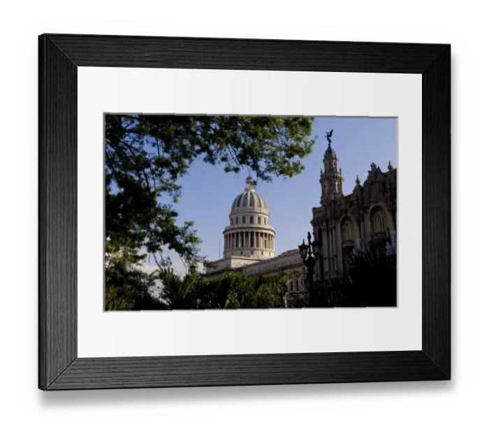 Framed Print : Havana Cuba Habana capoitol building with trees framed and looking up Framed Print : Havana Cuba Habana capoitol building with trees framed and looking up