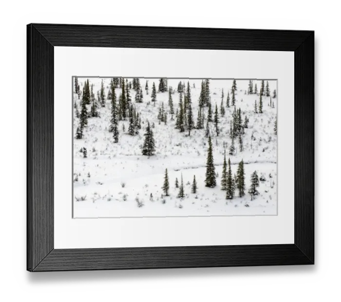 Framed Print : Small island in the Athabasca River, Jasper National Park, Alberta, Canadian Rockies