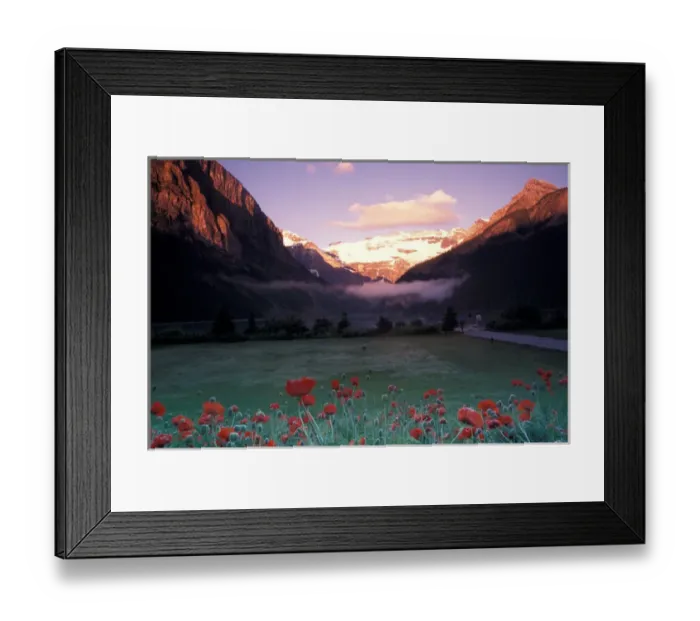 Framed Print : North America, Canada, Alberta, Banff NP, Lake Louise morning and poppies Framed Print : North America, Canada, Alberta, Banff NP, Lake Louise morning and poppies