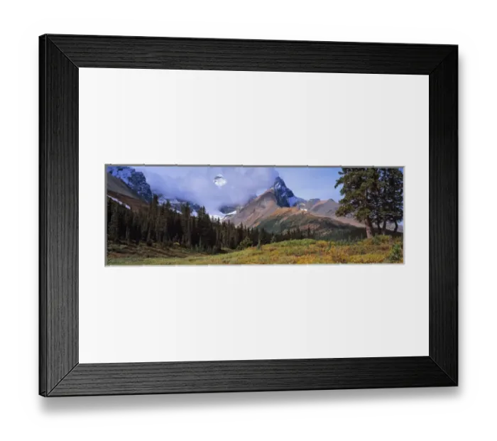 Framed Print : Canada, Alberta, Mt Saskatchewan. Clouds mask Mt. Saskatchewan in Banff NP, a World Heritage Site Framed Print : Canada, Alberta, Mt Saskatchewan. Clouds mask Mt. Saskatchewan in Banff NP, a World Heritage Site