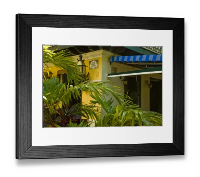 Framed Print : Plaza de Armas in Old Havana, Habana Vieja, Cuba Framed Print : Plaza de Armas in Old Havana, Habana Vieja, Cuba