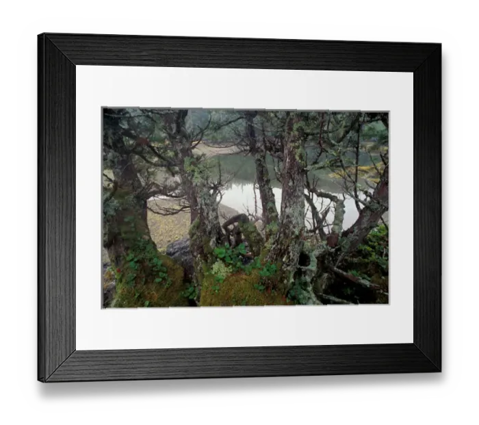 Framed Print : North America, Canada, British Columbia, Queen Charlotte Islands Framed Print : North America, Canada, British Columbia, Queen Charlotte Islands