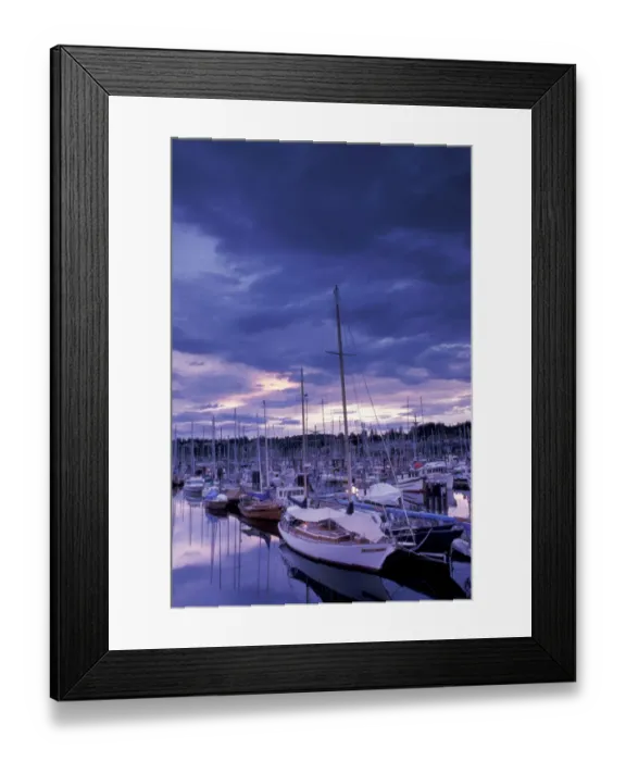 Framed Print : NA, Canada, BC, Comox Harbor, boats at sunset Framed Print : NA, Canada, BC, Comox Harbor, boats at sunset