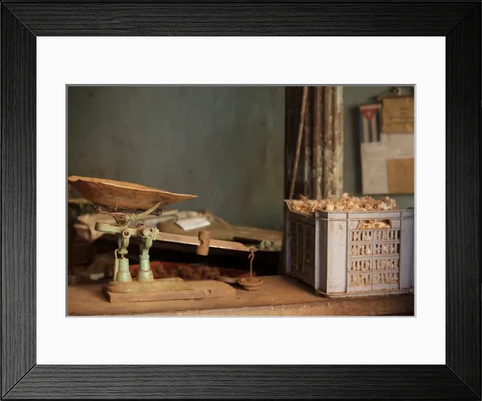 Framed Print : Havana, Cuba, Unesco World Heritage City. Vegetable market - garlic and scale