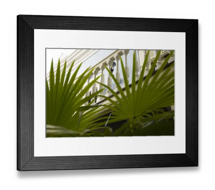 Framed Print : Caribbean, Netherland Antilles, Curacao, Willemstad. Palm fronds and balcony Framed Print : Caribbean, Netherland Antilles, Curacao, Willemstad. Palm fronds and balcony