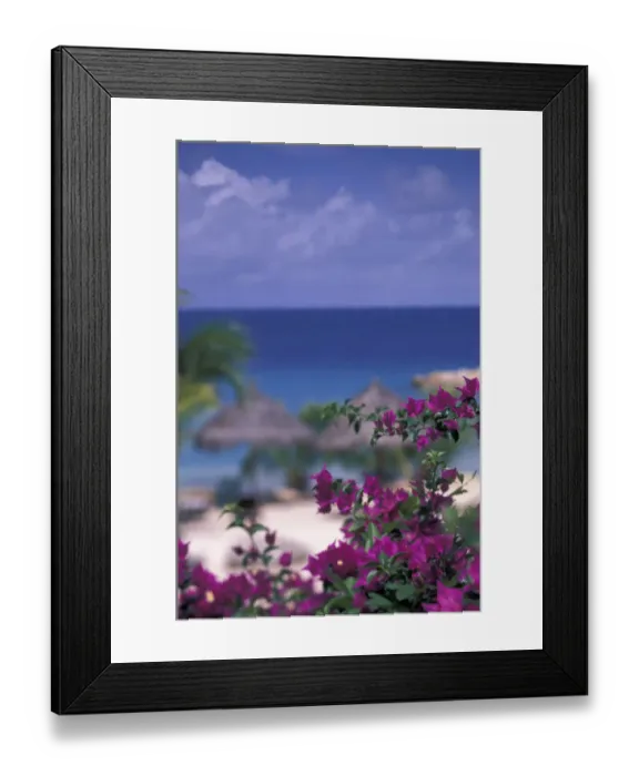 Framed Print : Caribbean, Netherland Antilles, Curacao Tropical setting