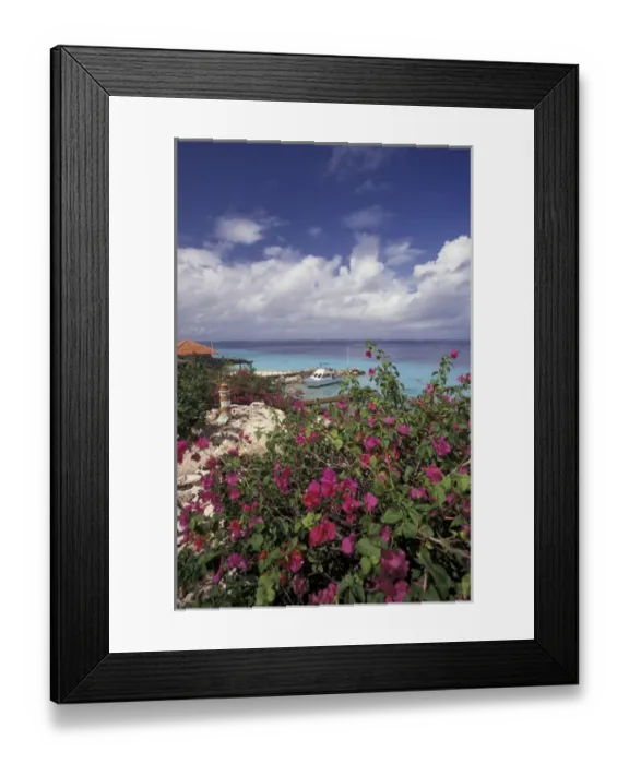 Framed Print : Caribbean, Netherland Antilles, Curacao The Habitat Resort
