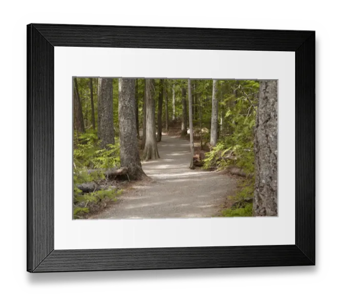 Framed Print : Track through forest to Spahats Falls, Wells Gray Provincial Park, British Columbia Framed Print : Track through forest to Spahats Falls, Wells Gray Provincial Park, British Columbia