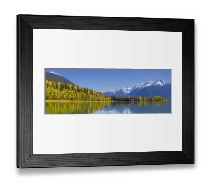Framed Print : Canada, British Columbia, Bowron Lakes Provincial Park. Panorama of autumn color on Sandy Lake Framed Print : Canada, British Columbia, Bowron Lakes Provincial Park. Panorama of autumn color on Sandy Lake