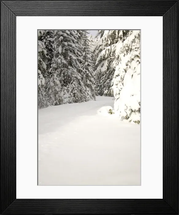 Framed Print : Canada, Banff, Cross country skiing on Spray River Trail Framed Print : Canada, Banff, Cross country skiing on Spray River Trail