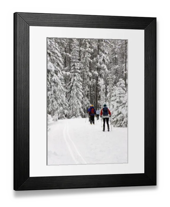 Framed Print : Canada, Banff, Cross country skiing on Spray River Trail Framed Print : Canada, Banff, Cross country skiing on Spray River Trail