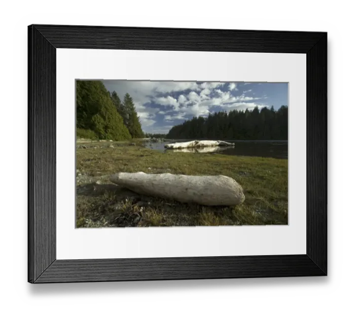 Framed Print : Keith Island Driftwood, Broken Island Group, Pacific Rim National Park Preserve, British Columbia Framed Print : Keith Island Driftwood, Broken Island Group, Pacific Rim National Park Preserve, British Columbia