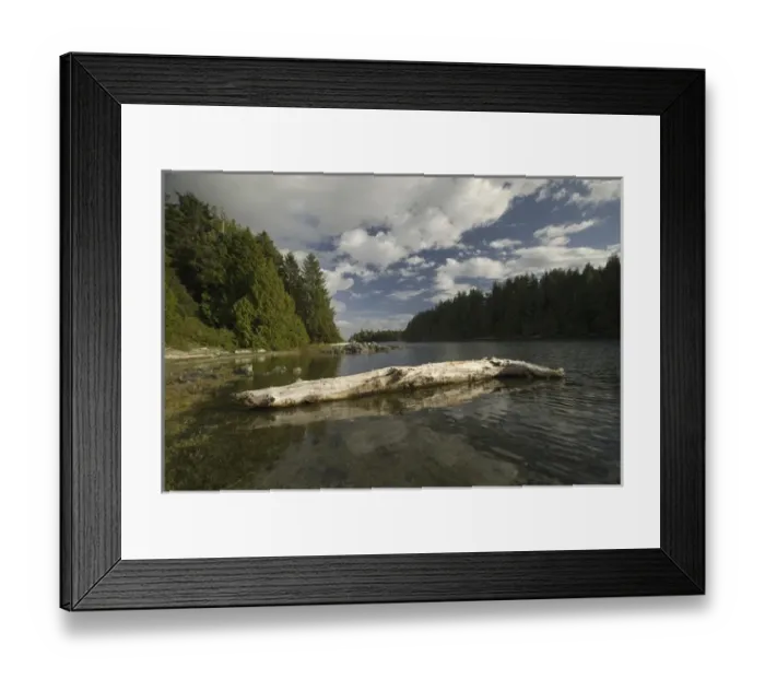 Framed Print : Keith Island, Broken Island Group, Pacific Rim National Park Preserve, British Columbia Framed Print : Keith Island, Broken Island Group, Pacific Rim National Park Preserve, British Columbia