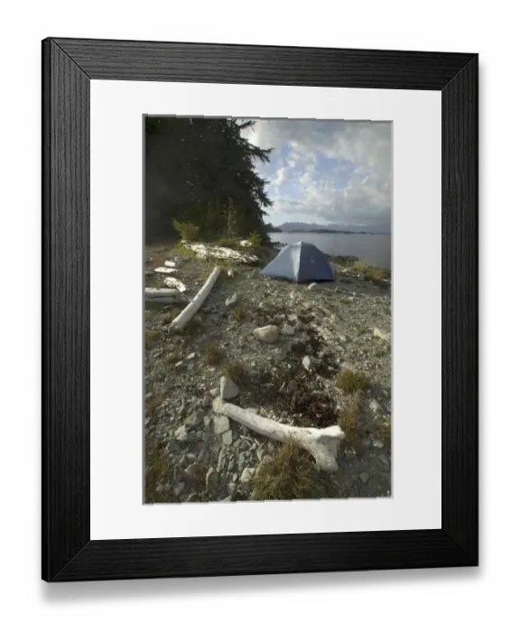 Framed Print : Tent at Keith Island Campsite, Broken Island Group, Pacific Rim National Park Preserve