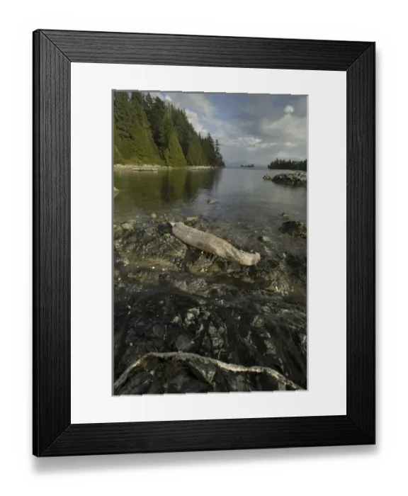 Framed Print : Keith Island Driftwood, Broken Island Group, Pacific Rim National Park Preserve, British Columbia
