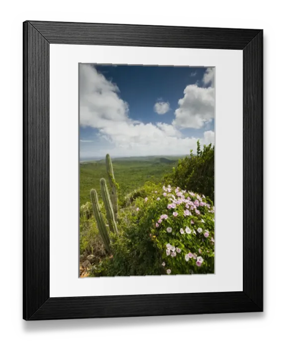 Framed Print : ABC Islands - CURACAO - Northern Curacao: Christoffel National Park - View of of